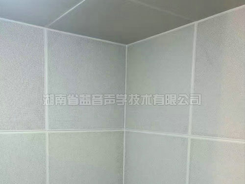 湖南省益音聲學(xué)技術(shù)有限公司,湖南測(cè)試隔音,湖南工業(yè)隔音,雙面迷你測(cè)聽(tīng)室哪里的好